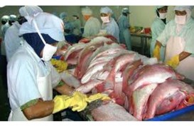 Utilitas Unit Pengolahan Ikan Bakal Melonjak